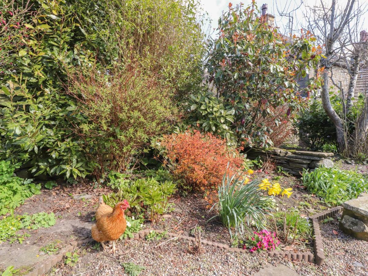 Beehive Cottage Bentham Bagian luar foto